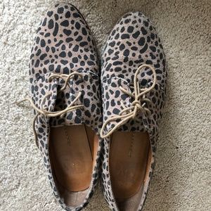 Dolce Vita Leopard Print Oxfords